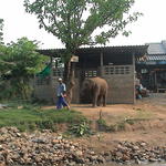 dsc00132.jpg