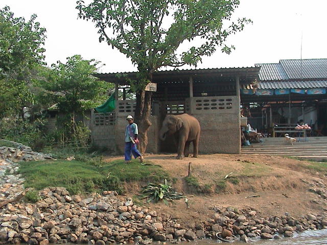 dsc00132.jpg