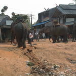 dsc00133.jpg