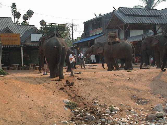 dsc00133.jpg