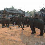 dsc00134.jpg