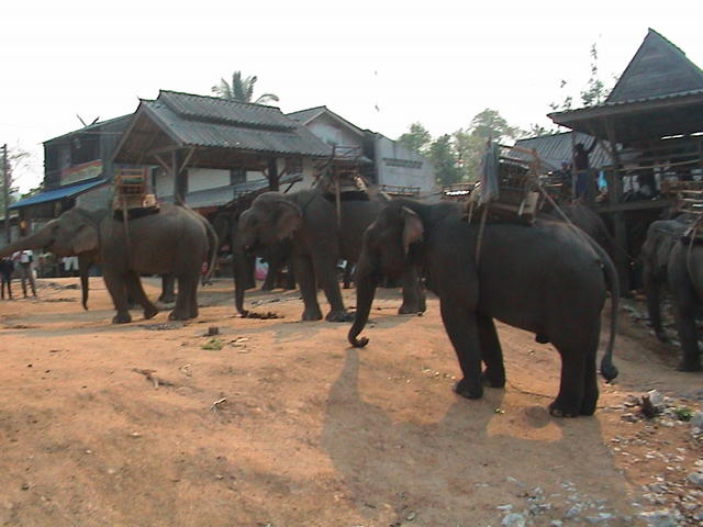 dsc00134.jpg
