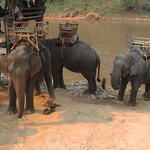 dsc00135.jpg