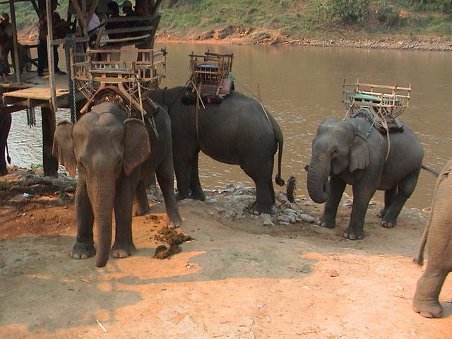 dsc00135.jpg