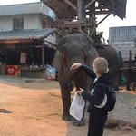 dsc00139.jpg