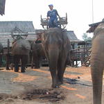 dsc00140.jpg