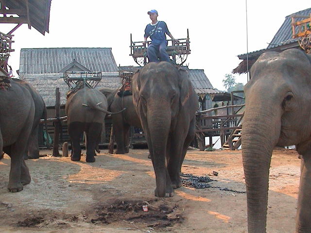 dsc00140.jpg
