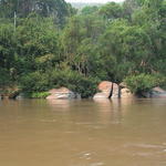 dsc00144.jpg