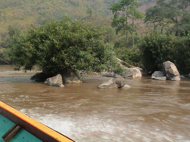 dsc00145.jpg