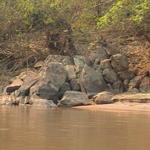 dsc00148.jpg