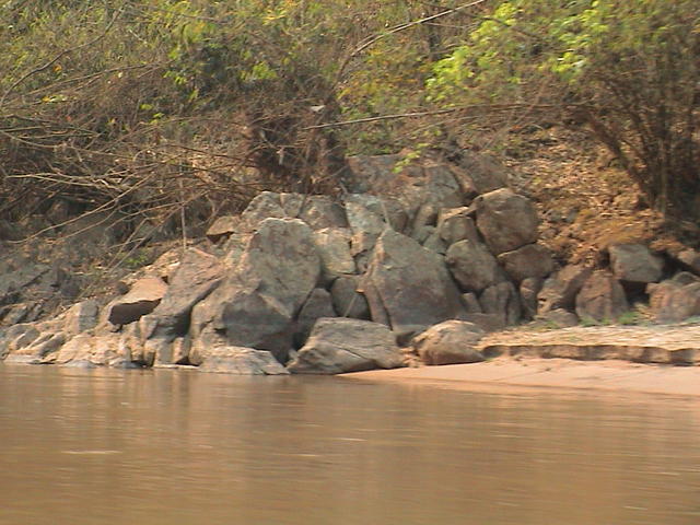 dsc00148.jpg