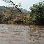 dsc00150.jpg