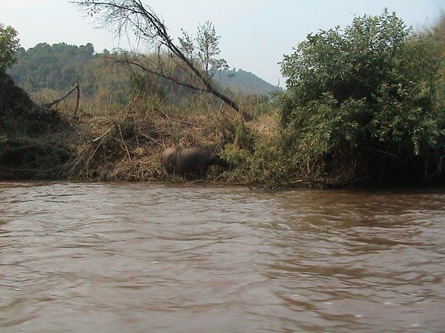 dsc00150.jpg