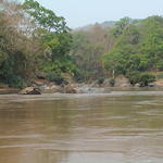 dsc00153.jpg
