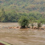dsc00154.jpg
