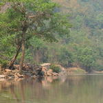 dsc00157.jpg