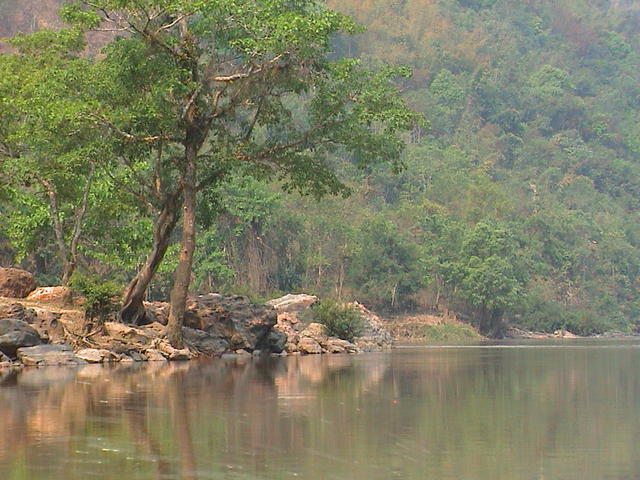 dsc00157.jpg