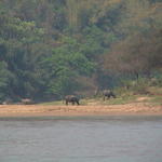 dsc00159.jpg