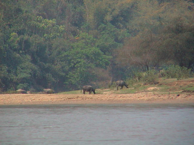 dsc00159.jpg