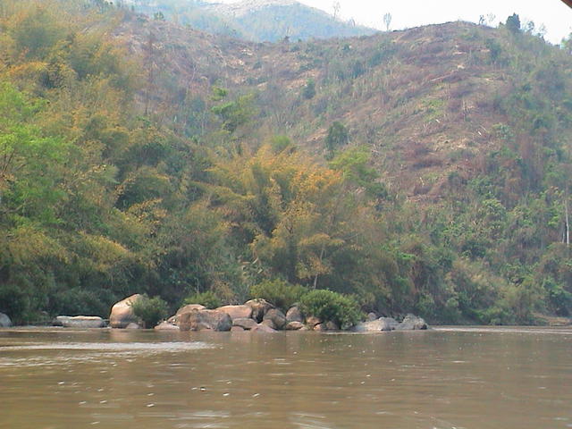dsc00160.jpg