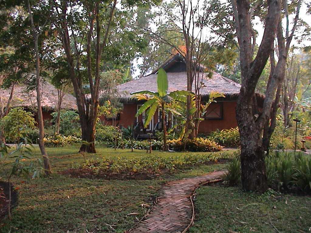 dsc00168.jpg