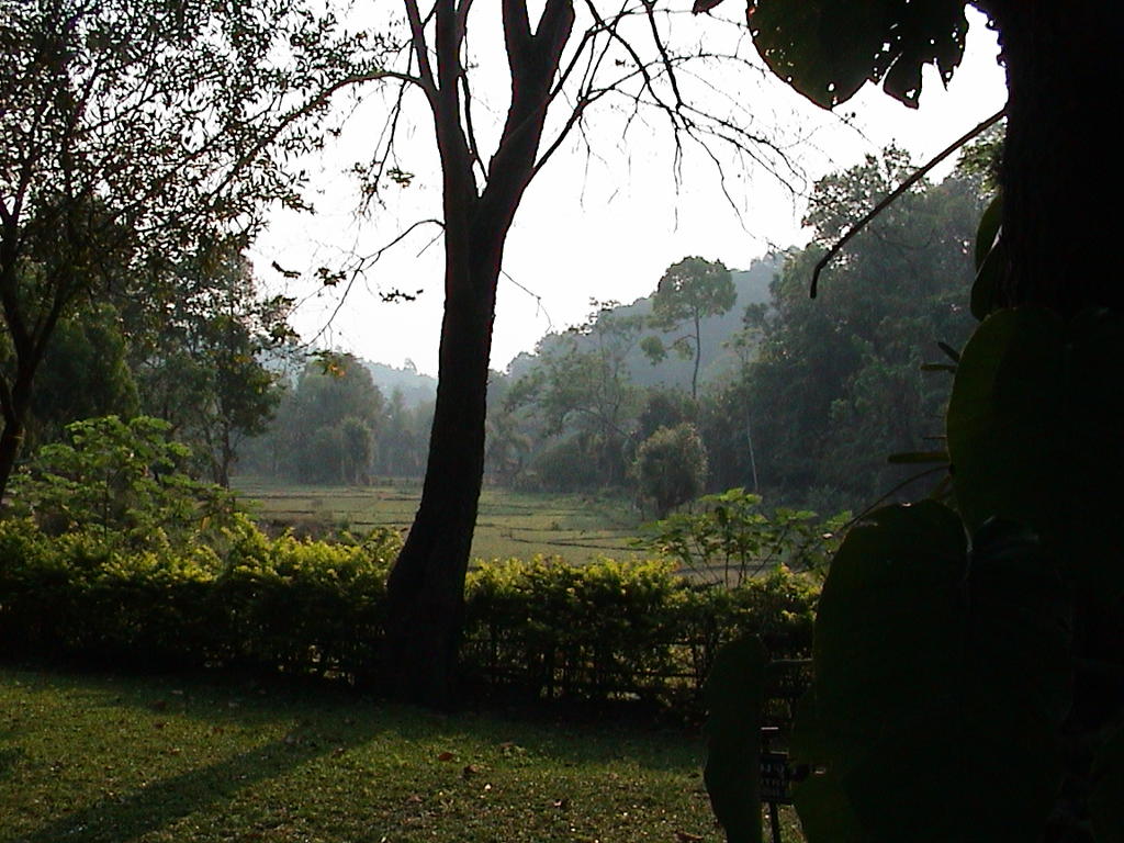 dsc00180.jpg