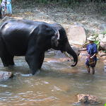 dsc00181.jpg