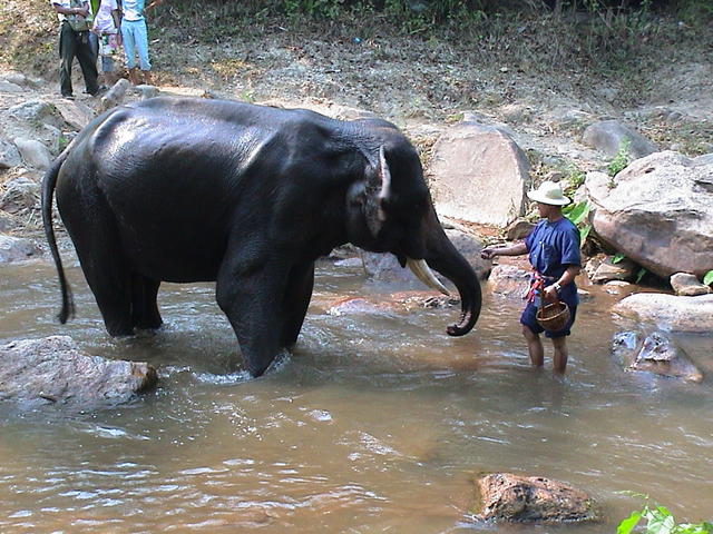 dsc00181.jpg