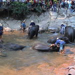dsc00183.jpg