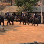 dsc00186.jpg
