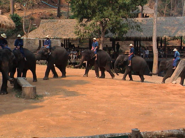 dsc00186.jpg