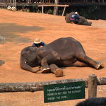 dsc00188.jpg