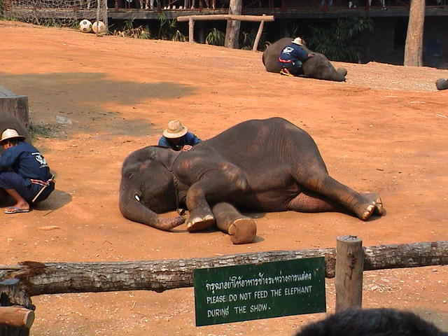 dsc00188.jpg