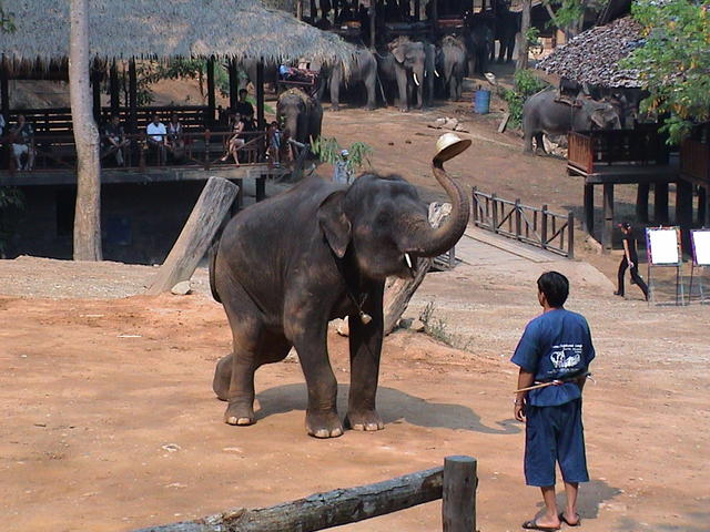 dsc00189.jpg
