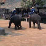dsc00191.jpg