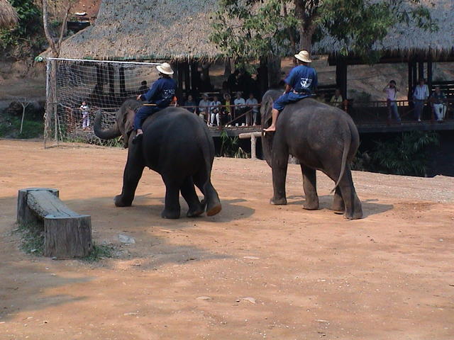 dsc00191.jpg
