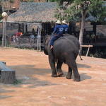 dsc00196.jpg