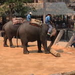 dsc00201.jpg