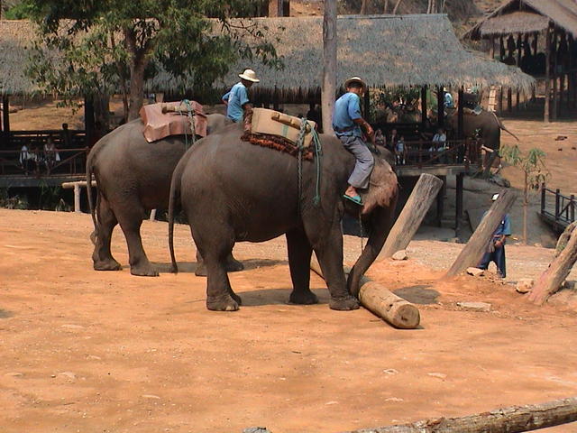dsc00201.jpg