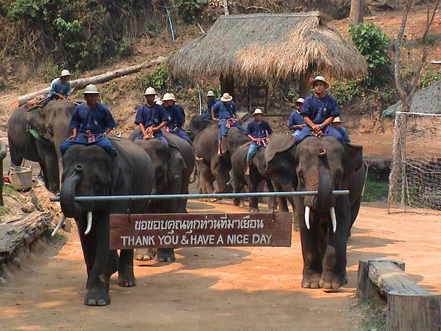 dsc00202.jpg