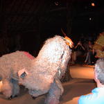 dsc00222.jpg