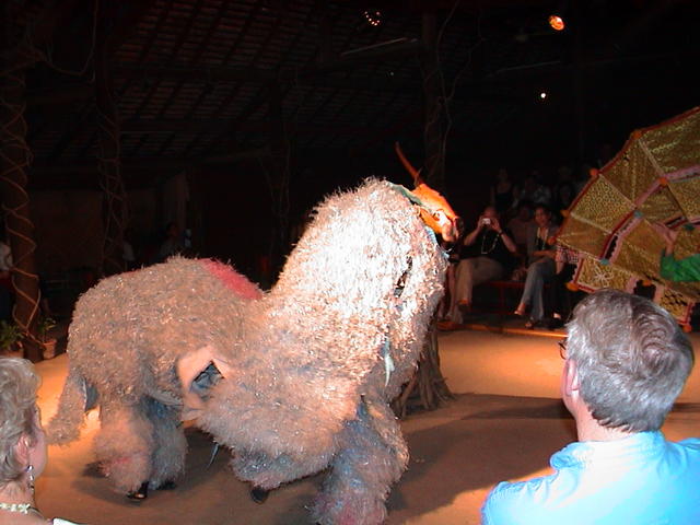 dsc00222.jpg