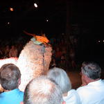 dsc00223.jpg