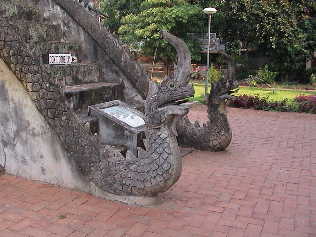 dsc00228.jpg