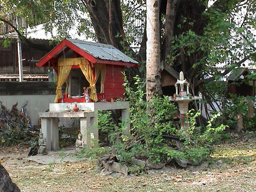 dsc00235.jpg