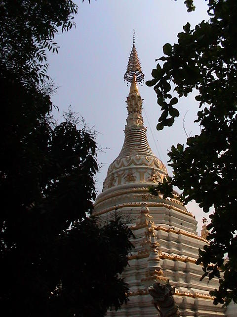 DSC00017.JPG
