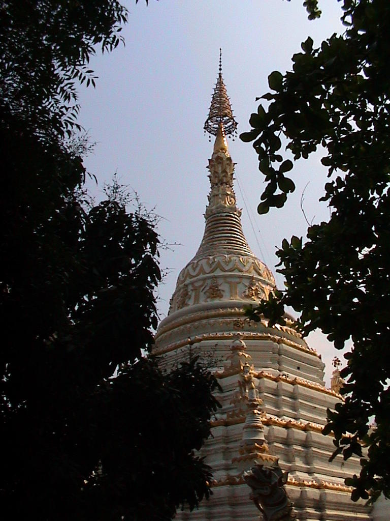 DSC00017.JPG
