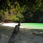DSC00050.JPG
