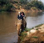 ElephantRide.jpg