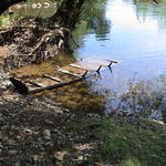 dsc00094.jpg